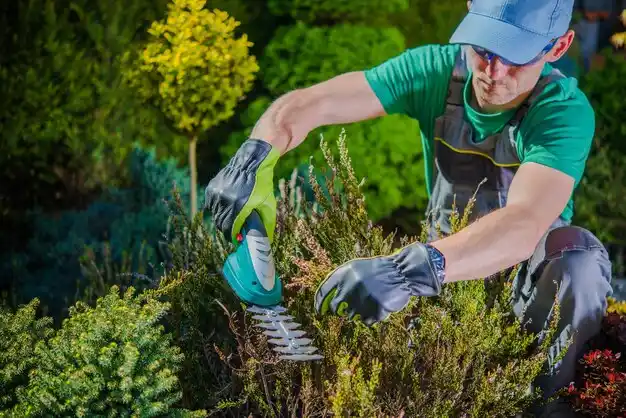 landscaping services Leadwood